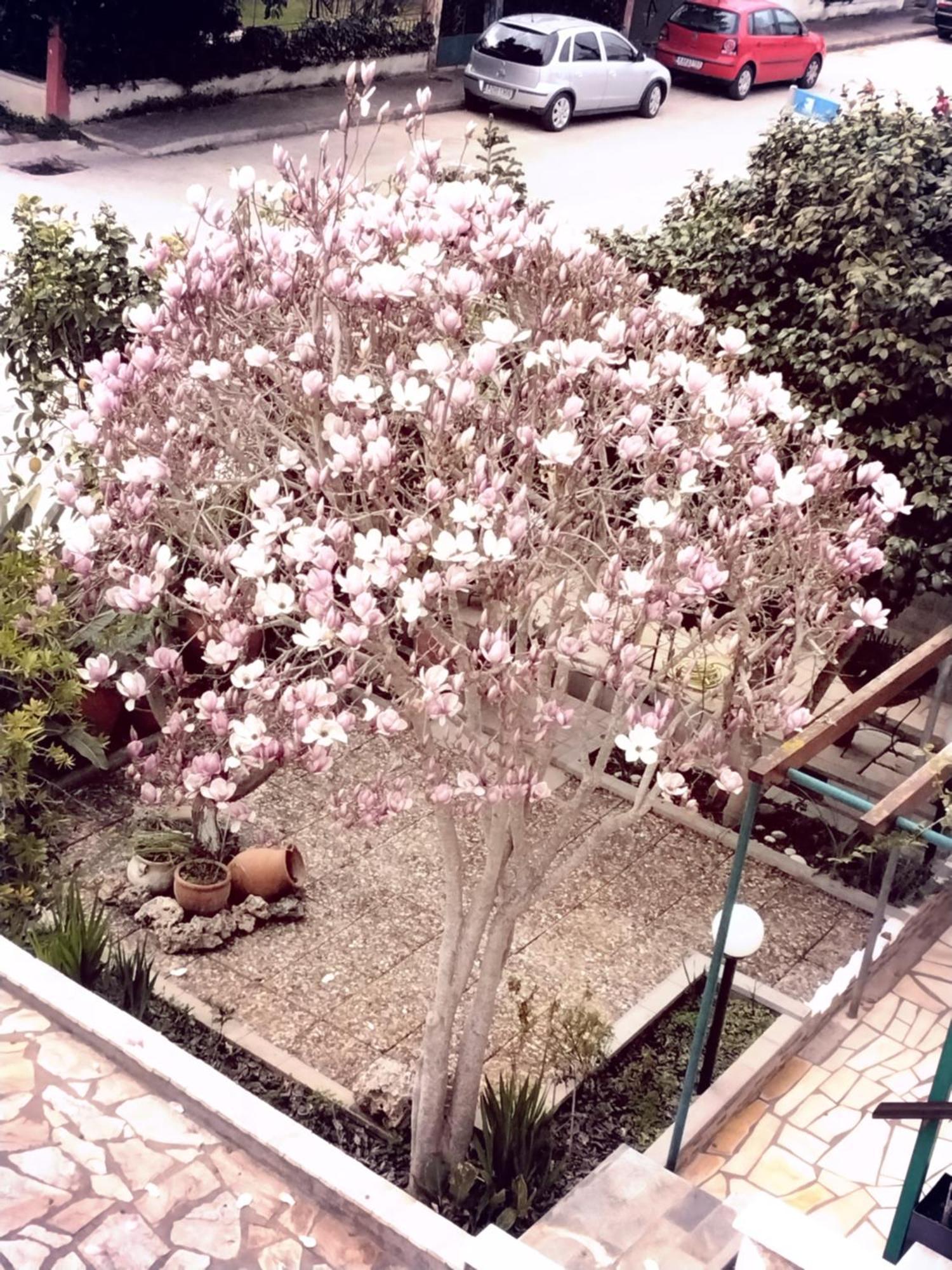 프레베자 Αlexandras House 아파트 외부 사진